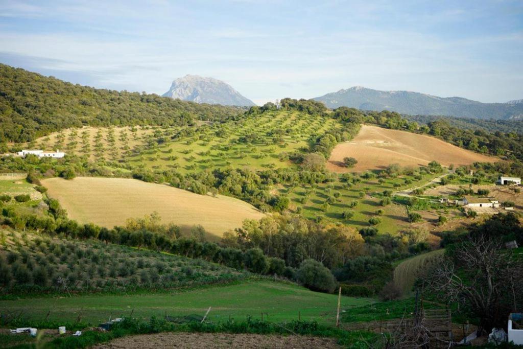 הוילה פראדו דל ריי Hacienda San Francisco מראה חיצוני תמונה