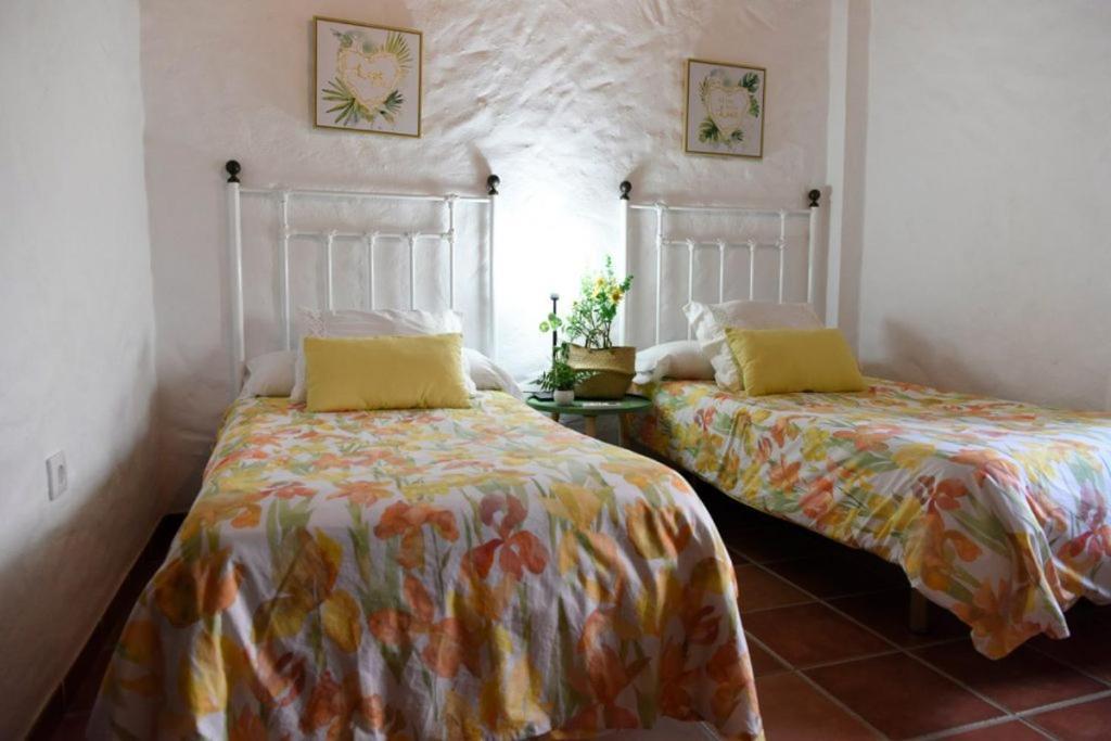 הוילה פראדו דל ריי Hacienda San Francisco מראה חיצוני תמונה